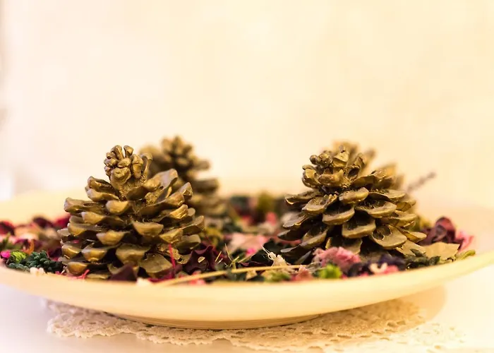 Casa de hóspedes Old Town Charming