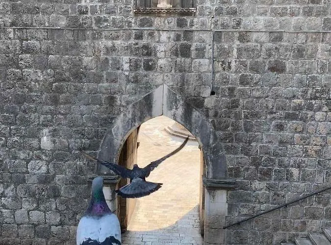 Casa de hóspedes Old Town Charming Dubrovnik